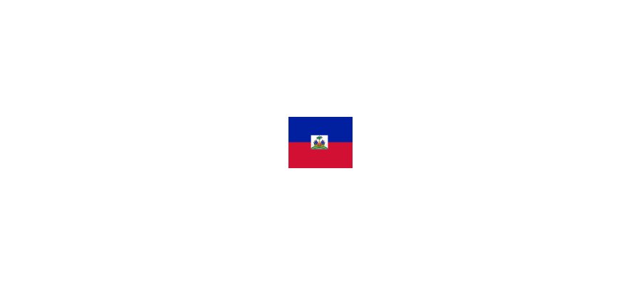 Image:Point Info : Election Haïti (11/12/2010)