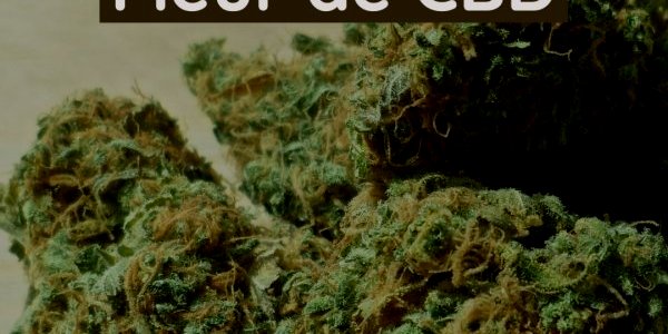 Image:Une fleur de CBD n'est pas un stupéfiant