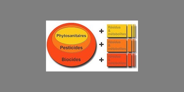 Image:Chronique d'un désastre sanitaire annoncé [2]