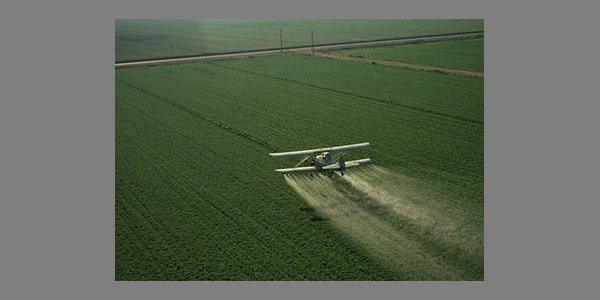 Image:Chronique d'un désastre sanitaire annoncé [1]