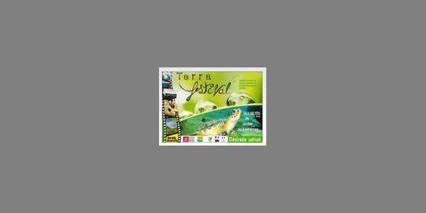 Image:La Désirade accueille le Terra Festival