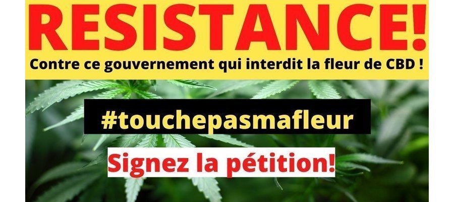 Image:Fleurs de CBD : Pétition contre l'interdiction de la vente et de la consommation